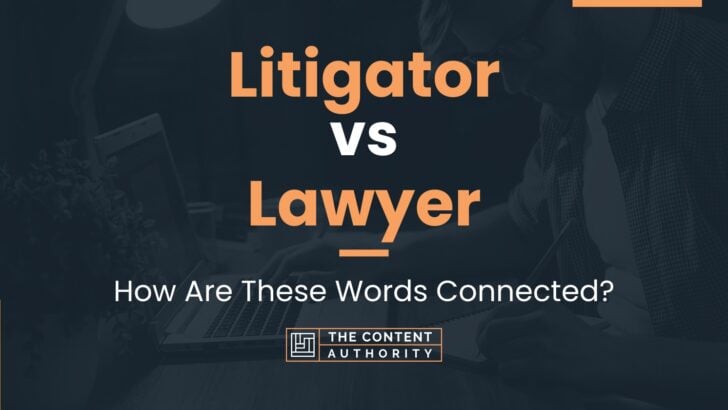 Litigator Vs Lawyer: How Are These Words Connected?