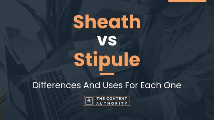 Sheath vs Stipule: Differences And Uses For Each One