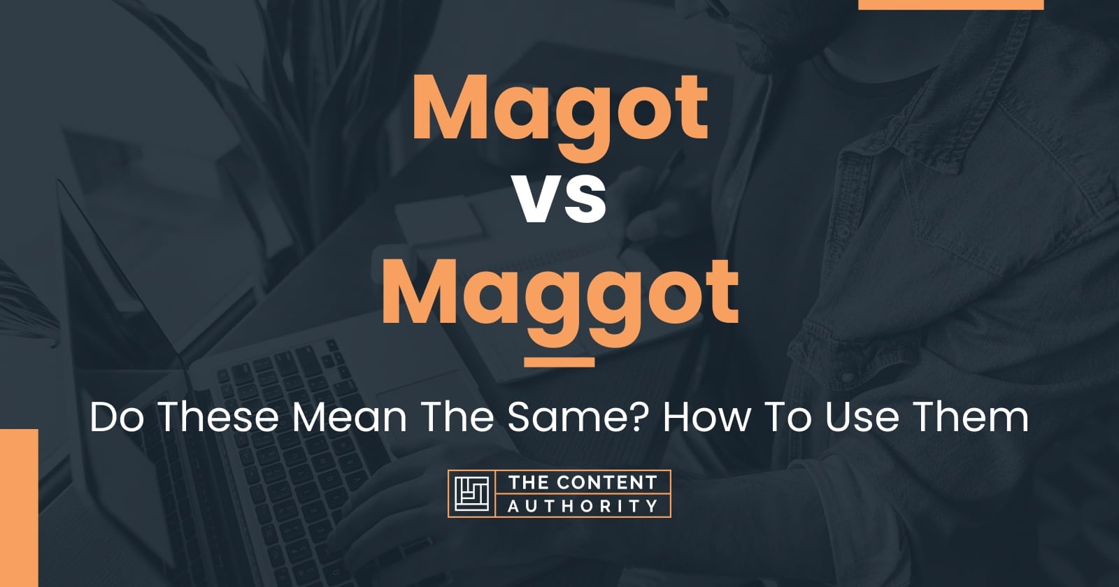 magot-vs-maggot-do-these-mean-the-same-how-to-use-them