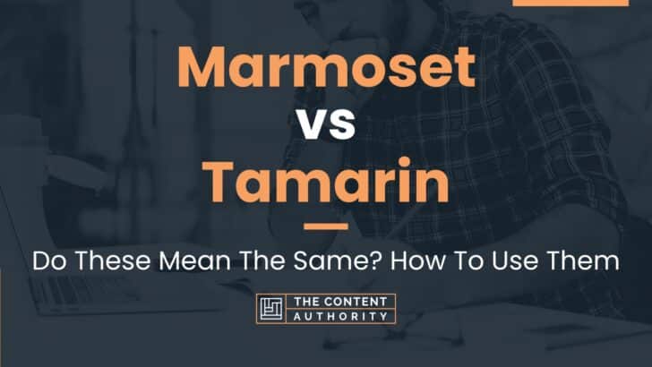 Marmoset vs Tamarin: Do These Mean The Same? How To Use Them