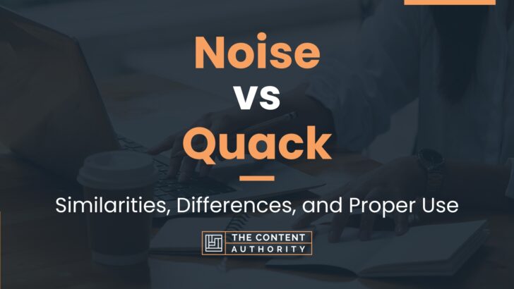 Noise vs Quack: Similarities, Differences, and Proper Use