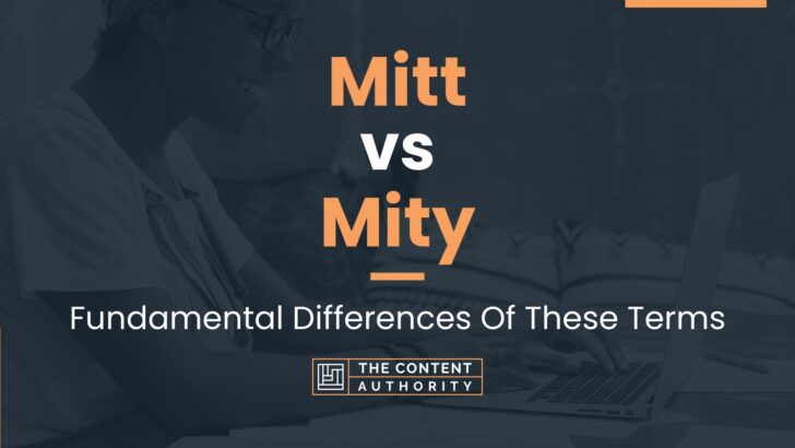 mitt-vs-mity-fundamental-differences-of-these-terms