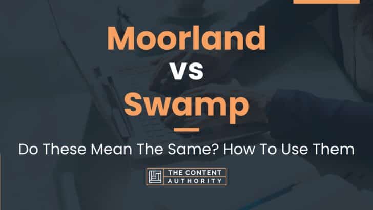Moorland vs Swamp: Do These Mean The Same? How To Use Them