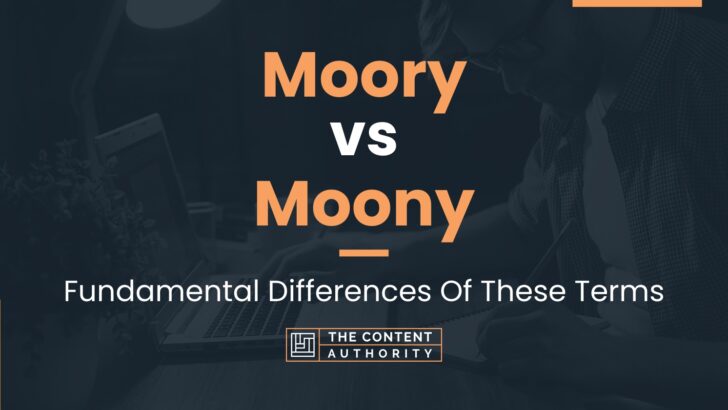 Moory vs Moony: Fundamental Differences Of These Terms