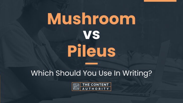 Mushroom vs Pileus: Which Should You Use In Writing?