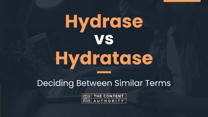 Hydrase vs Hydratase: Deciding Between Similar Terms