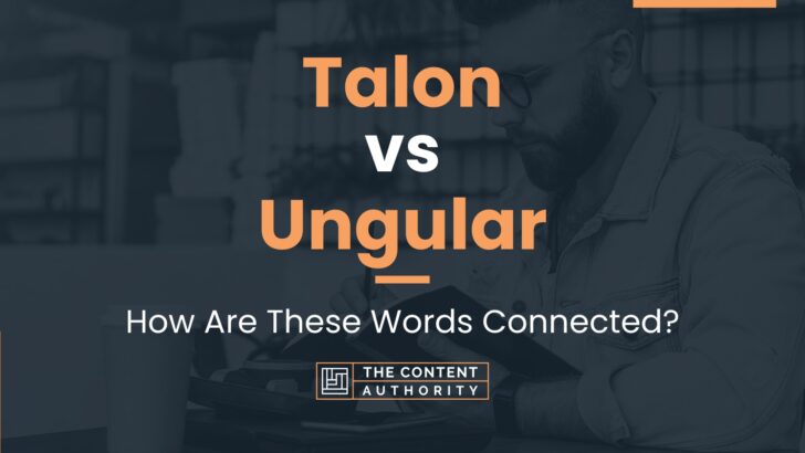 Talon vs Ungular: How Are These Words Connected?