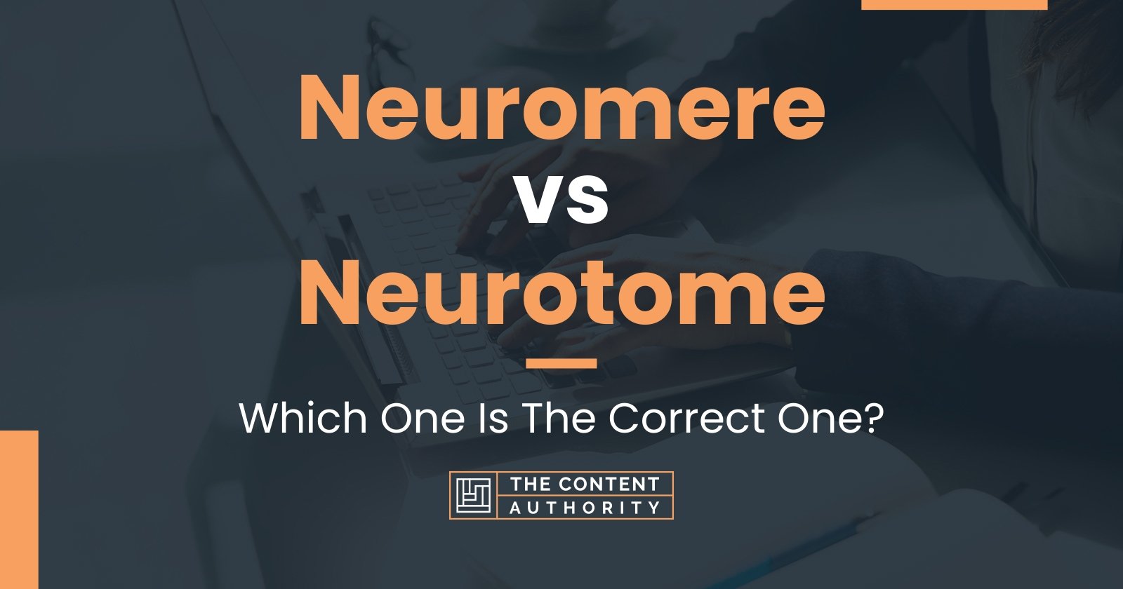 Neuromere vs Neurotome: Which One Is The Correct One?