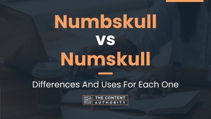 Numbskull vs Numskull: Differences And Uses For Each One