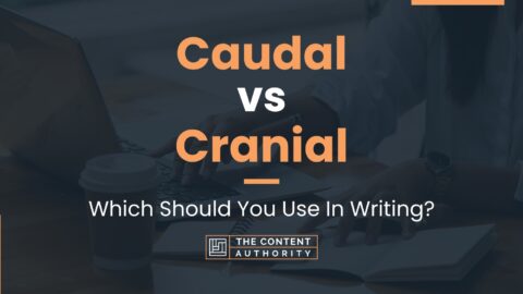 Caudal vs Cranial: Which Should You Use In Writing?