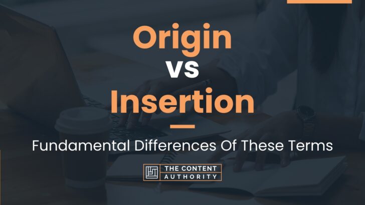 origin-vs-insertion-fundamental-differences-of-these-terms