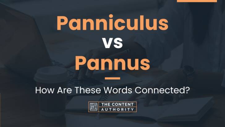 Panniculus vs Pannus: How Are These Words Connected?