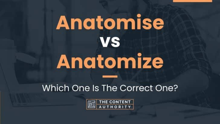 Anatomise vs Anatomize: Which One Is The Correct One?