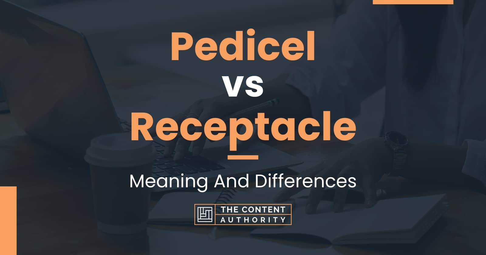 pedicel-vs-receptacle-meaning-and-differences