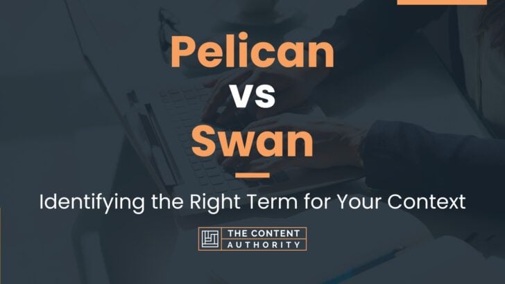 Pelican vs Swan: Identifying the Right Term for Your Context