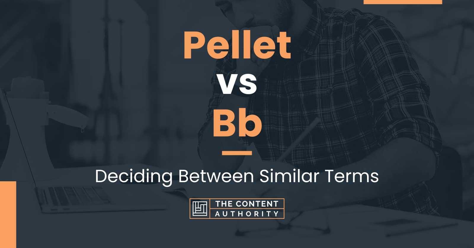 Pellet Vs Bb: Deciding Between Similar Terms