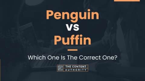 Penguin vs Puffin: Which One Is The Correct One?