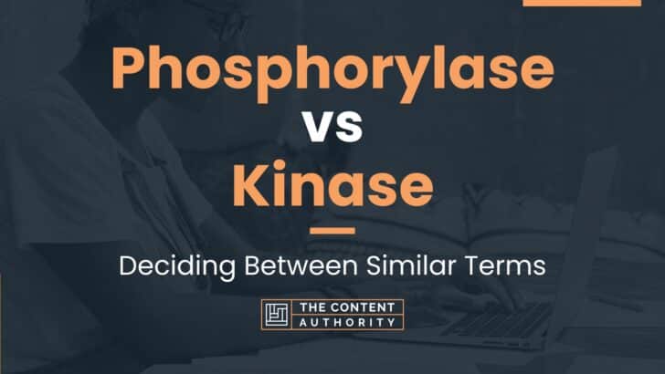 Phosphorylase vs Kinase: Deciding Between Similar Terms