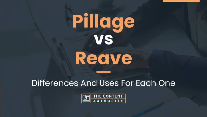 Pillage vs Reave: Differences And Uses For Each One