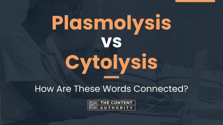 Plasmolysis vs Cytolysis: How Are These Words Connected?