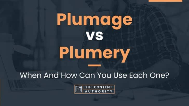 Plumage vs Plumery: When And How Can You Use Each One?