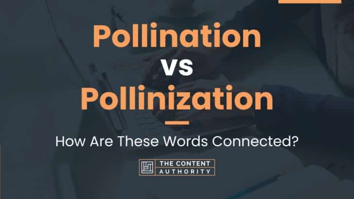 Pollination vs Pollinization: How Are These Words Connected?