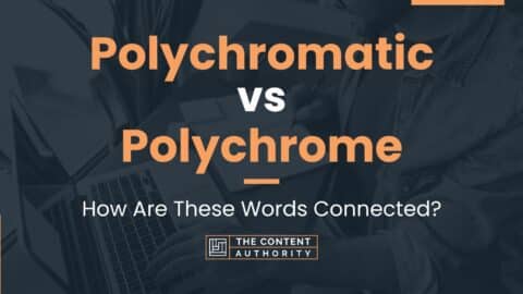 Polychromatic vs Polychrome: How Are These Words Connected?