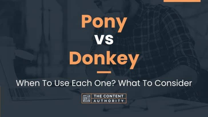 Pony vs Donkey: When To Use Each One? What To Consider
