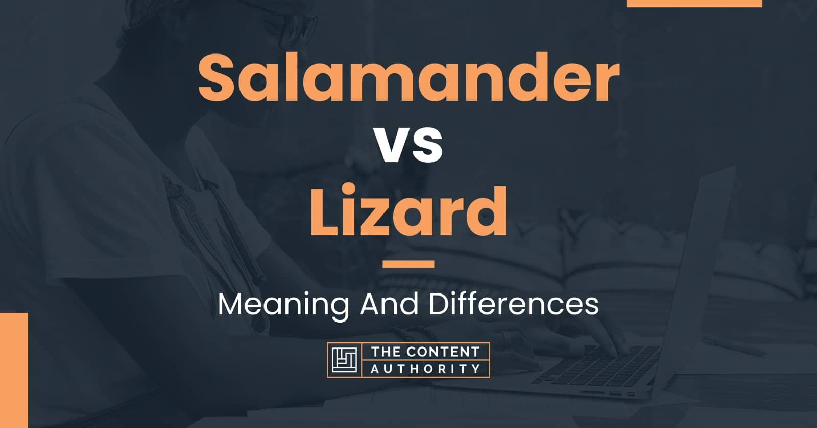 salamander-vs-lizard-meaning-and-differences