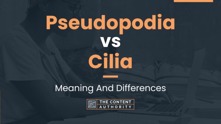 pseudopodia-vs-cilia-meaning-and-differences