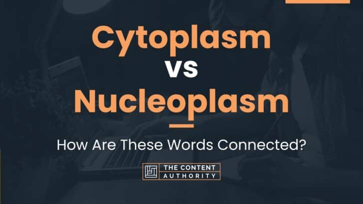 Cytoplasm vs Nucleoplasm: How Are These Words Connected?