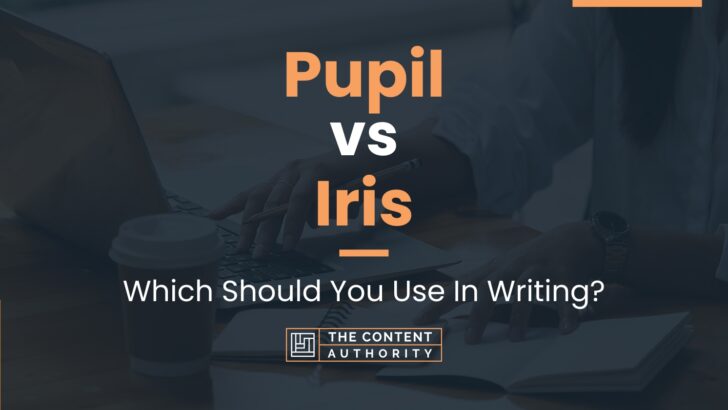 Pupil vs Iris: Which Should You Use In Writing?