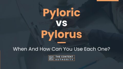 Pyloric vs Pylorus: When And How Can You Use Each One?