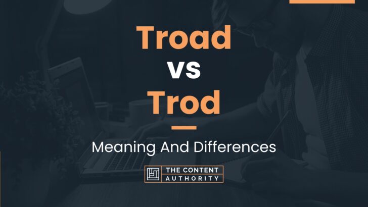 troad-vs-trod-meaning-and-differences