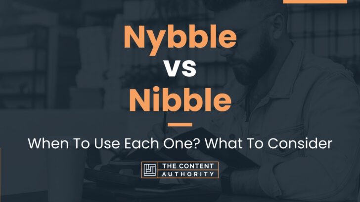 Nybble vs Nibble: When To Use Each One? What To Consider
