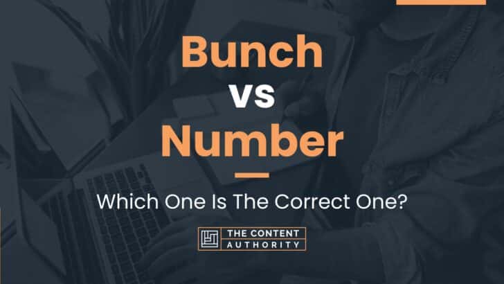 Bunch vs Number: Which One Is The Correct One?