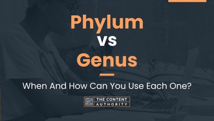 Phylum vs Genus: When And How Can You Use Each One?