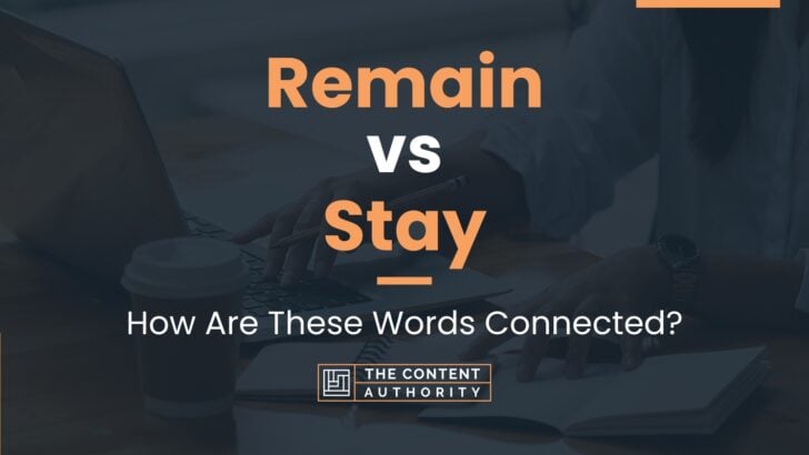 Remain vs Stay: How Are These Words Connected?