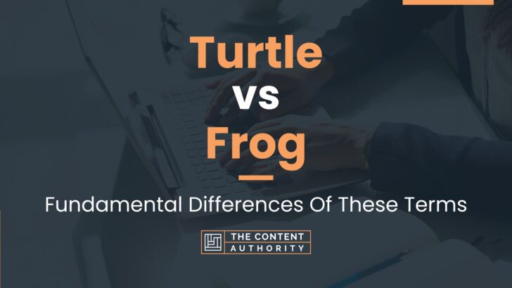 Turtle vs Frog: Fundamental Differences Of These Terms