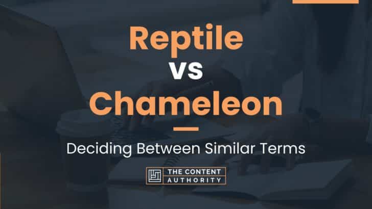 Reptile vs Chameleon: Deciding Between Similar Terms
