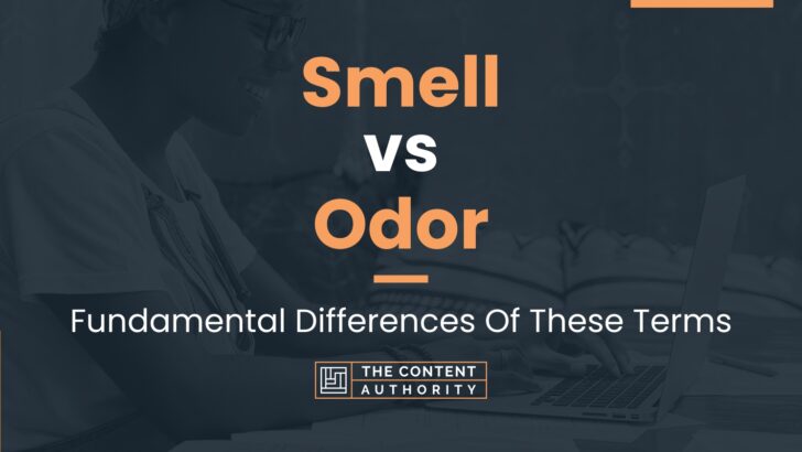 Smell vs Odor: Fundamental Differences Of These Terms