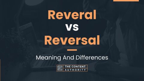 Reveral vs Reversal: Meaning And Differences