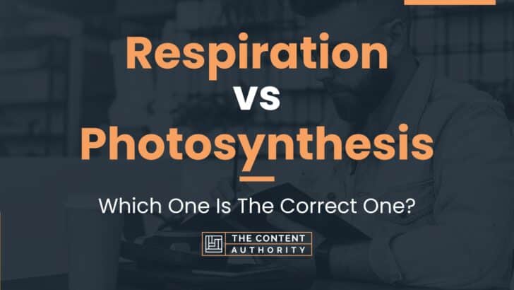Respiration Vs Photosynthesis Which One Is The Correct One respiration-vs-photosynthesis-which-one-is-the-correct-one