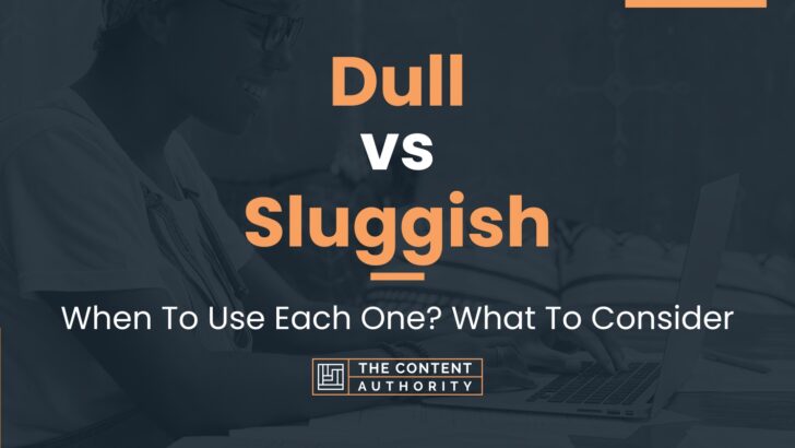 Dull vs Sluggish: When To Use Each One? What To Consider