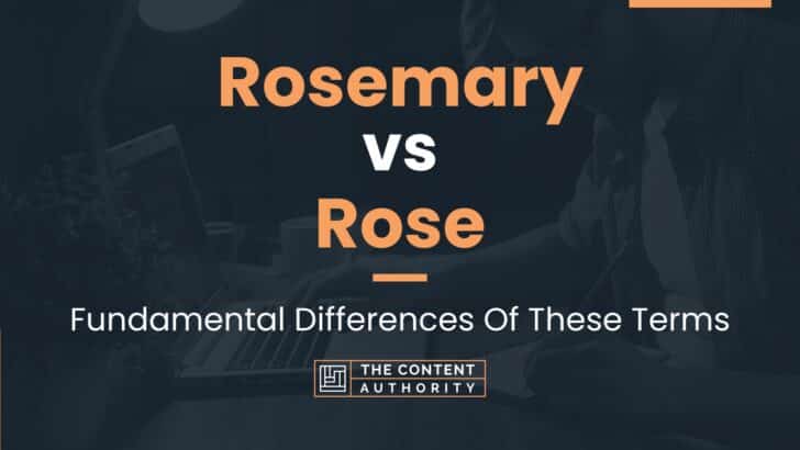 Rosemary vs Rose: Fundamental Differences Of These Terms