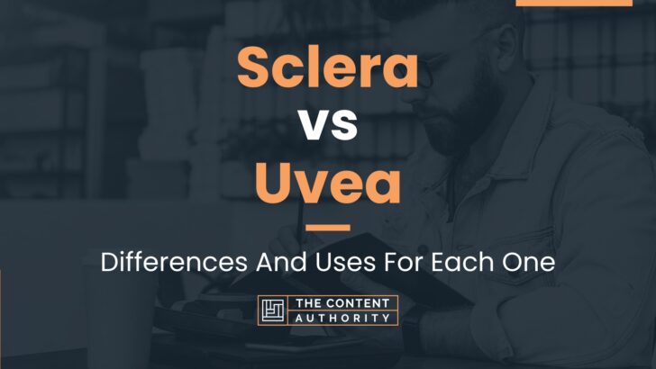 Sclera vs Uvea: Differences And Uses For Each One