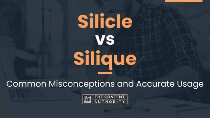 Silicle vs Silique: Common Misconceptions and Accurate Usage