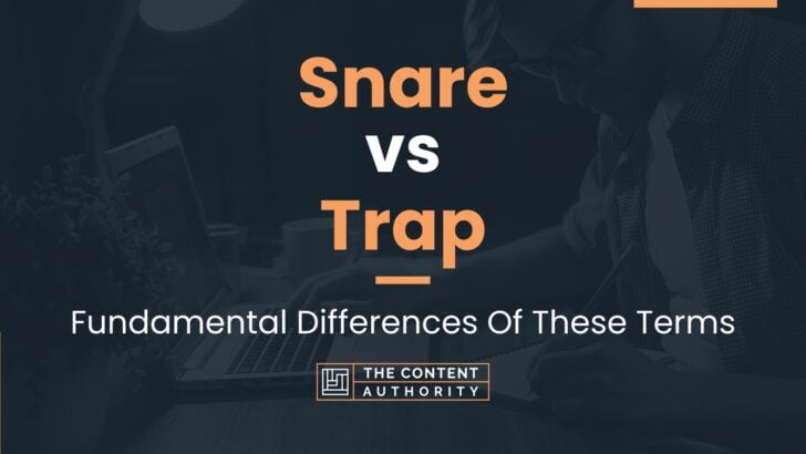 Snare vs Trap: Fundamental Differences Of These Terms