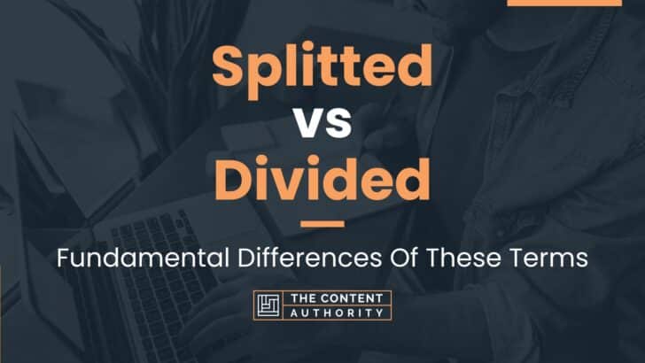 Splitted vs Divided: Fundamental Differences Of These Terms