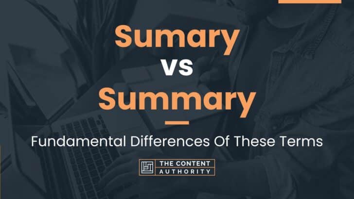 sumary-vs-summary-fundamental-differences-of-these-terms